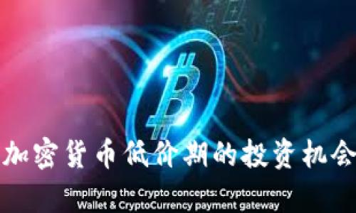 数字加密货币低价期的投资机会分析