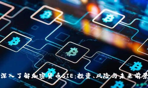 深入了解加密货币SIE：投资、风险与未来前景