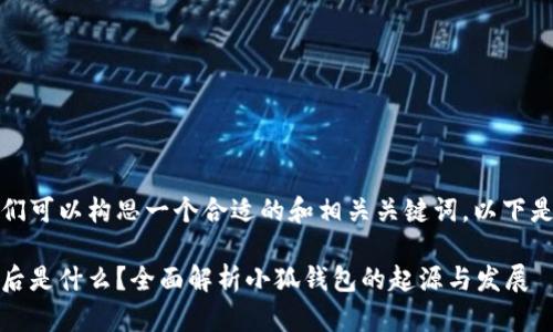 在这个问题上，我们可以构思一个合适的和相关关键词。以下是建议的和关键词：

小狐钱包：它的背后是什么？全面解析小狐钱包的起源与发展