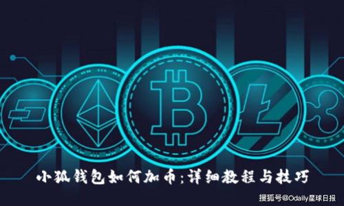 小狐钱包如何加币：详细教程与技巧