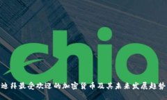 迪拜最受欢迎的加密货币及其未来发展趋势