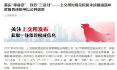 2023年Luan加密货币全解析：投资策略、市场前景及