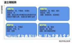 如何在MetaMask中切换到BSC链：详细步骤与常见问题