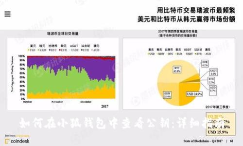 如何在小狐钱包中查看公钥：详细指南