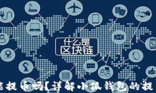
中本聪小狐钱包能提币吗？详解小狐钱包的提币功能与使用指南