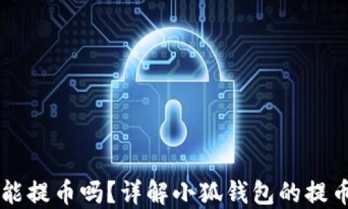 
中本聪小狐钱包能提币吗？详解小狐钱包的提币功能与使用指南
