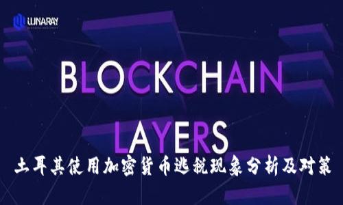 土耳其使用加密货币逃税现象分析及对策