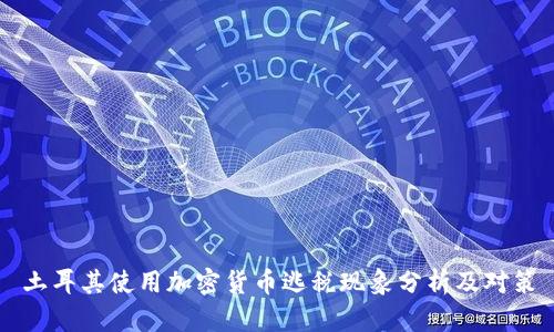 土耳其使用加密货币逃税现象分析及对策