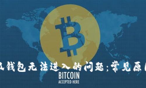 如何解决小狐钱包无法进入的问题：常见原因及解决方案