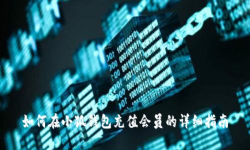 如何在小狐钱包充值会员的详细指南
