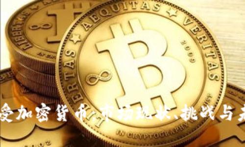 美国接受加密货币：市场现状、挑战与未来展望