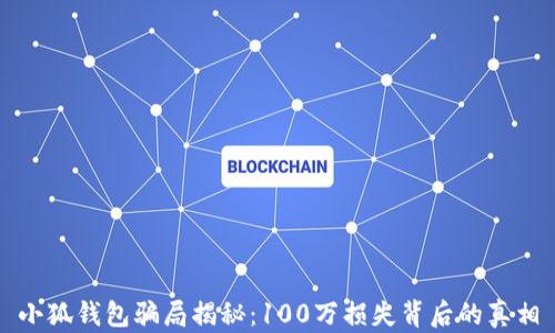 
小狐钱包骗局揭秘：100万损失背后的真相