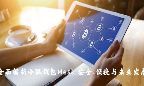 全面解析小狐钱包Mesk：安全、便捷与未来发展