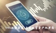 : VNS加密货币：未来数字资