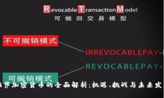 拉萨加密货币的全面解析：机遇、挑战与未来发