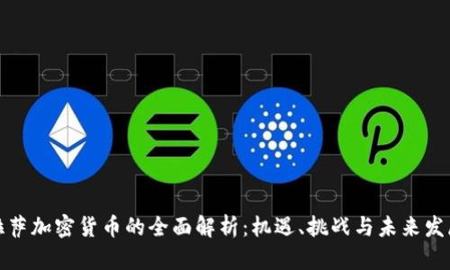 拉萨加密货币的全面解析：机遇、挑战与未来发展