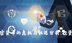 数字加密货币的危机与机遇分析：投资者必读