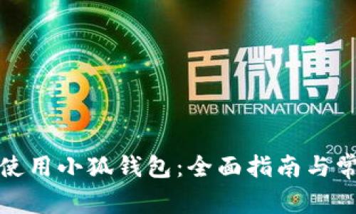 如何在国内使用小狐钱包：全面指南与常见问题解答