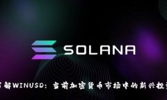 深入了解WINUSD: 当前加密货币市场中的新兴投资机