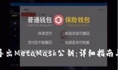 如何安全导出MetaMask公钥：详细指南与注意事项