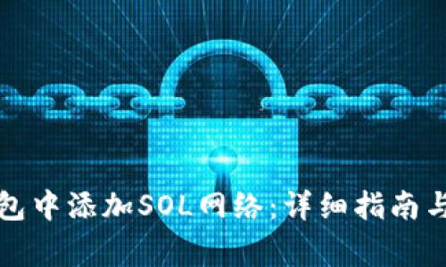如何在小狐钱包中添加SOL网络：详细指南与常见问题解答